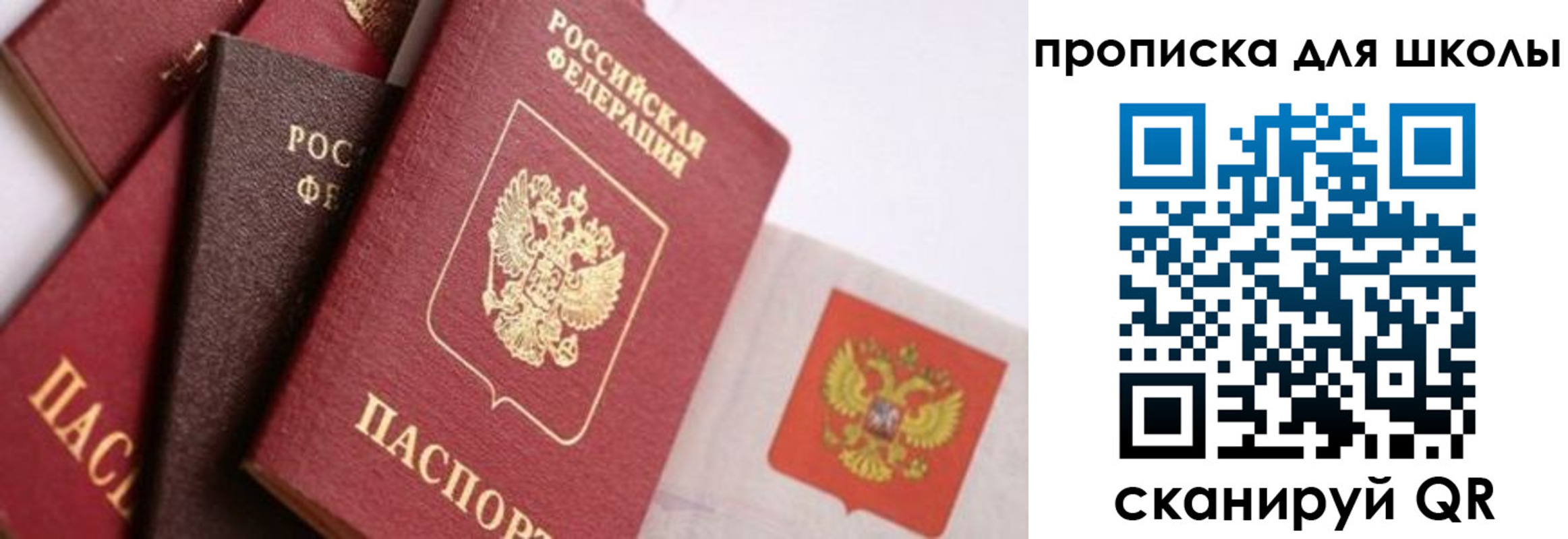 прописка поиск в Строителе